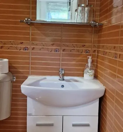 Къща за гости селин 3*