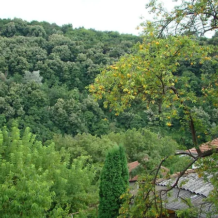 Selin 3* Veliko Tarnovo