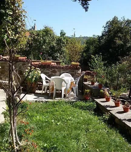 Selin Guest house 3*