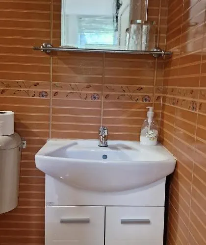 Guest house Selin 3*