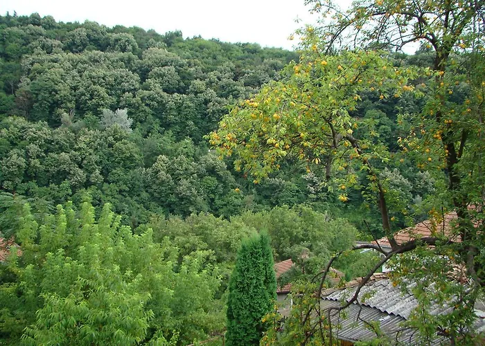 Selin 3* Veliko Tarnovo