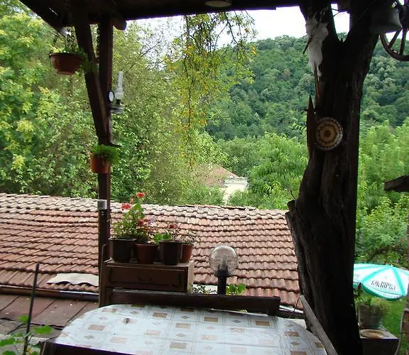 Guest house Selin 3*