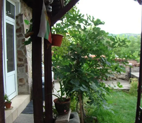 Guest house Selin Veliko Tarnovo